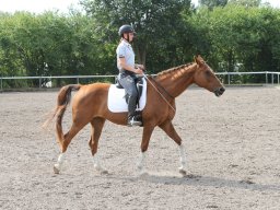 IMG_1259_web